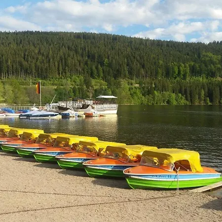 Feldberg Uitzicht * Sankt Märgen